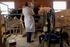 Farming and Agriculture